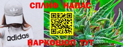 a pvp Гудермес