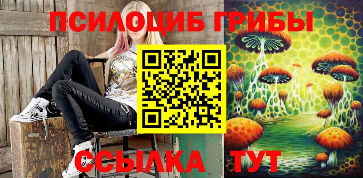 Псилоцибиновые грибы GOLDEN TEACHER  Вход с VPN  где купить наркоту  Егорьевск 